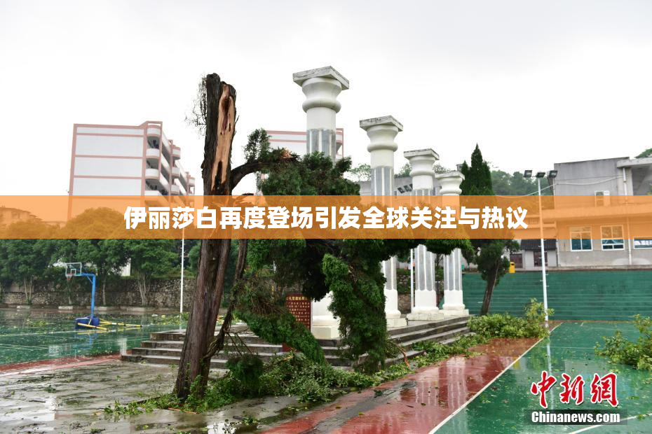 伊丽莎白再度登场引发全球关注与热议