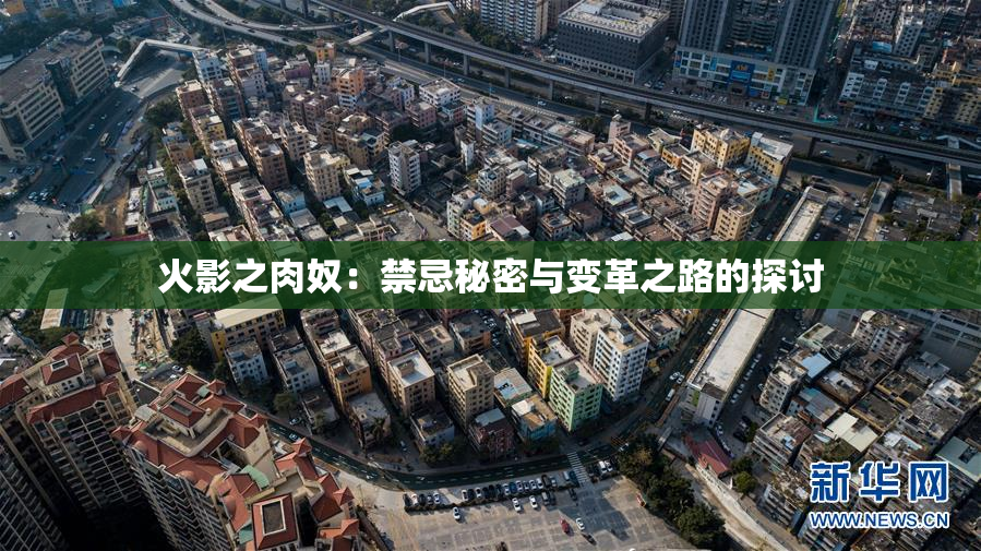 火影之肉奴：禁忌秘密与变革之路的探讨