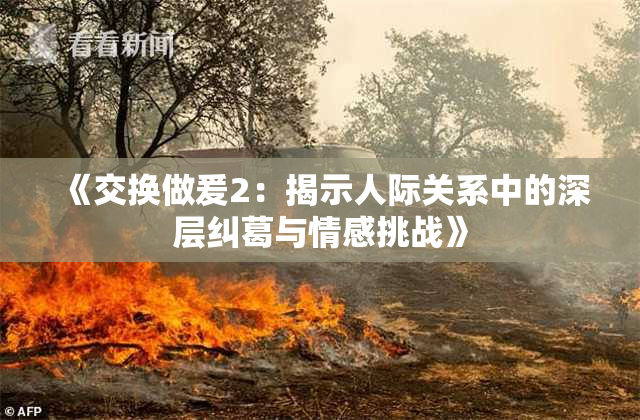 《交换做爰2：揭示人际关系中的深层纠葛与情感挑战》