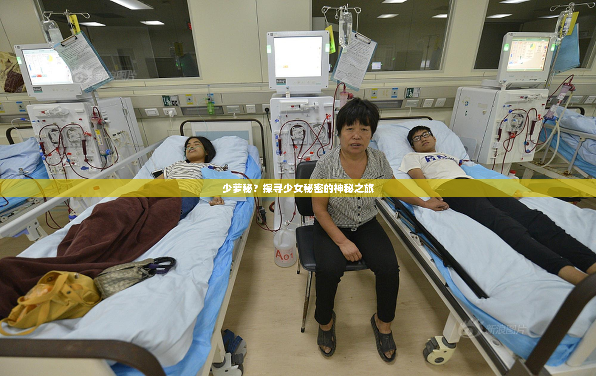 少萝秘？探寻少女秘密的神秘之旅