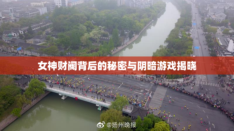 女神财阀背后的秘密与阴暗游戏揭晓