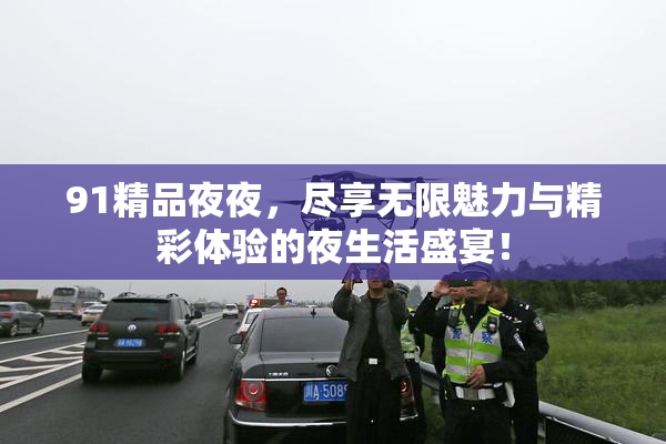 91精品夜夜，尽享无限魅力与精彩体验的夜生活盛宴！