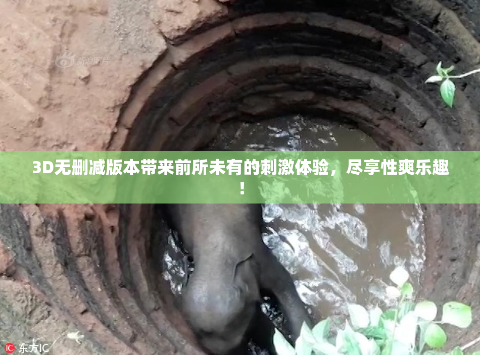 3D无删减版本带来前所未有的刺激体验，尽享性爽乐趣！