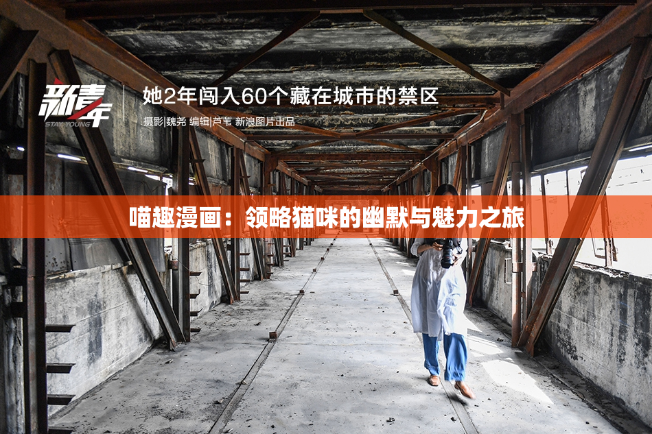 喵趣漫画：领略猫咪的幽默与魅力之旅