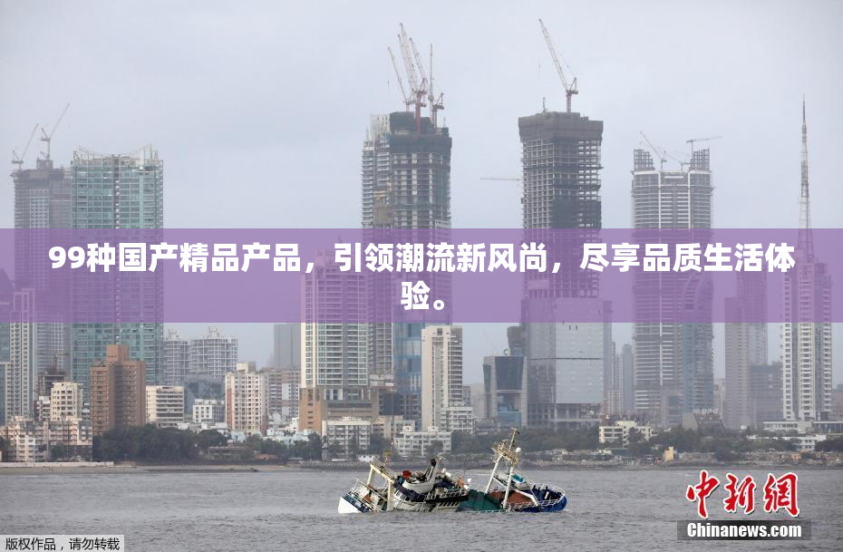 99种国产精品产品，引领潮流新风尚，尽享品质生活体验。