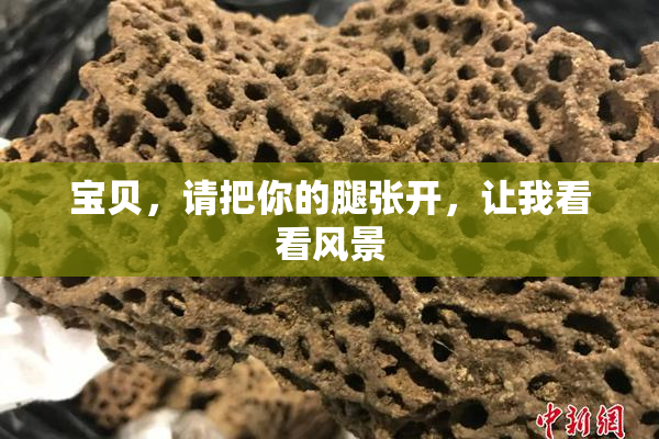 宝贝，请把你的腿张开，让我看看风景