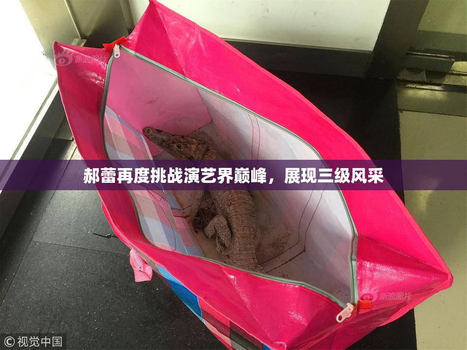 郝蕾再度挑战演艺界巅峰，展现三级风采