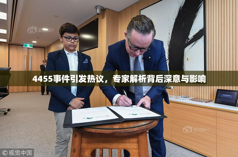 4455事件引发热议，专家解析背后深意与影响