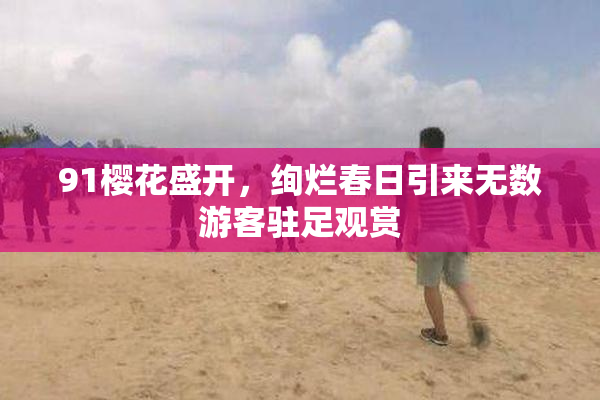 91樱花盛开，绚烂春日引来无数游客驻足观赏