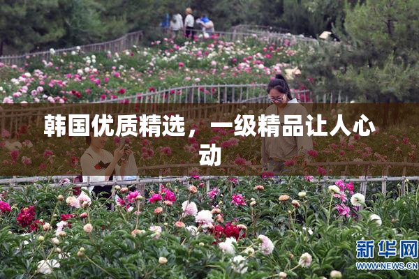 韩国优质精选，一级精品让人心动