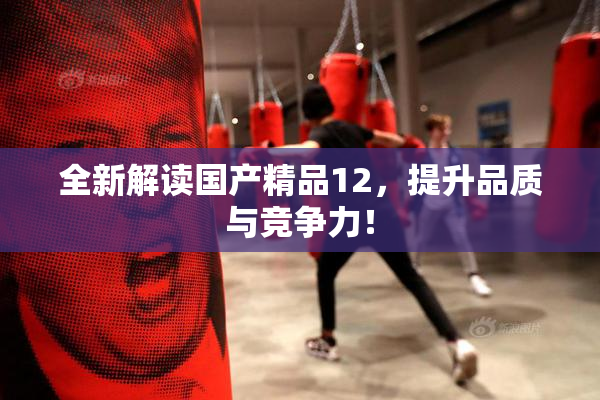 全新解读国产精品12，提升品质与竞争力！