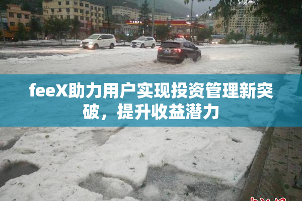 feeX助力用户实现投资管理新突破，提升收益潜力