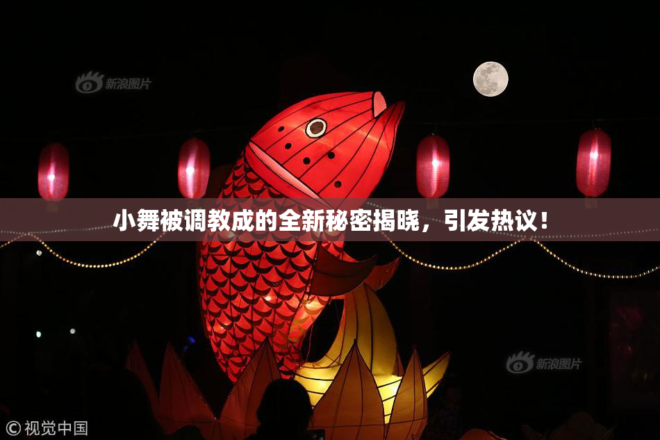 小舞被调教成的全新秘密揭晓，引发热议！