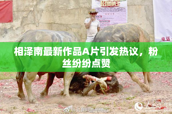 相泽南最新作品A片引发热议，粉丝纷纷点赞