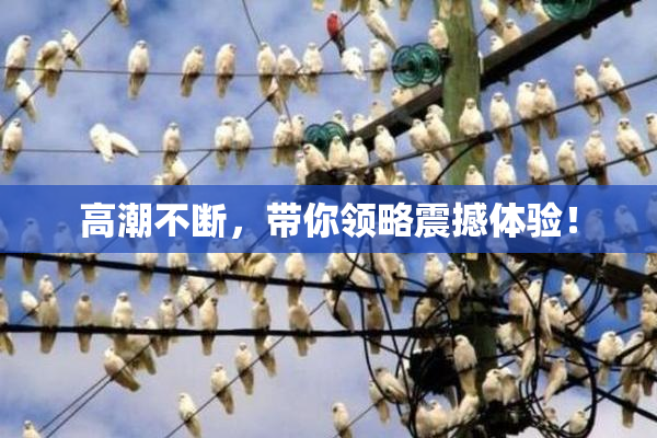 高潮不断，带你领略震撼体验！