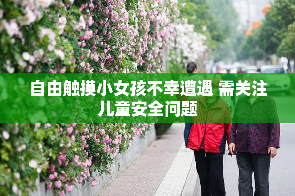自由触摸小女孩不幸遭遇 需关注儿童安全问题