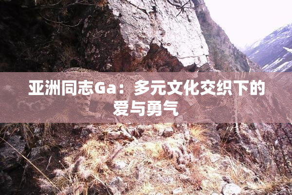 亚洲同志Ga：多元文化交织下的爱与勇气