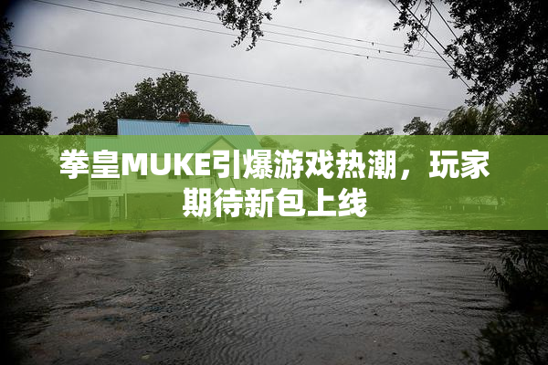 拳皇MUKE引爆游戏热潮，玩家期待新包上线