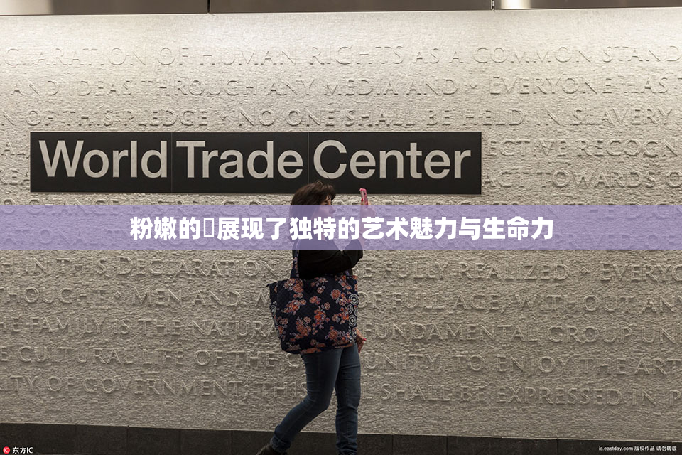 粉嫩的泬展现了独特的艺术魅力与生命力