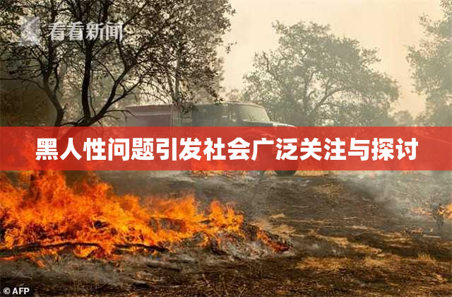 黑人性问题引发社会广泛关注与探讨