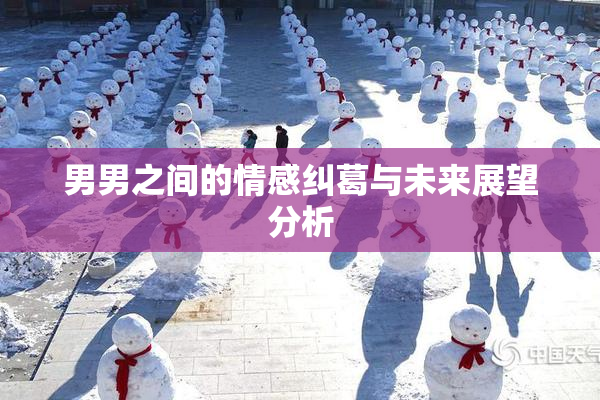 男男之间的情感纠葛与未来展望分析