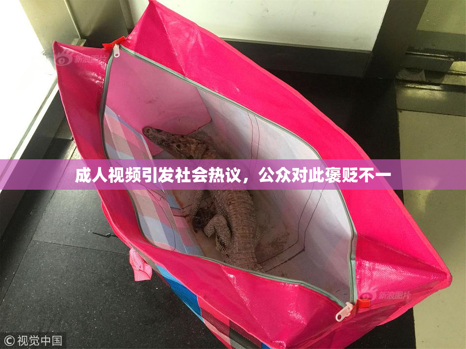 成人视频引发社会热议，公众对此褒贬不一