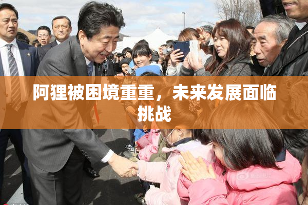 阿狸被困境重重，未来发展面临挑战