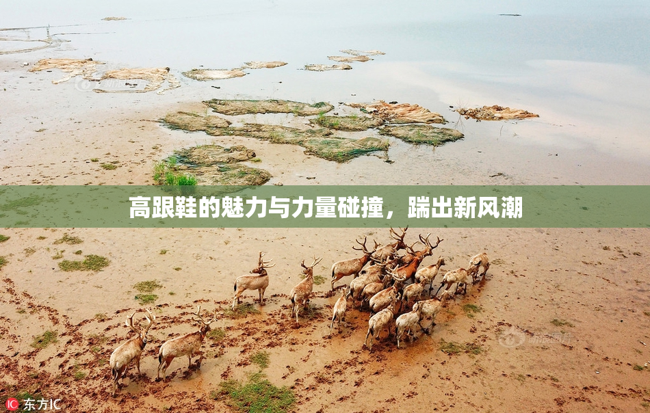 高跟鞋的魅力与力量碰撞，踹出新风潮