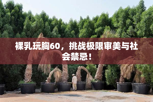 裸乳玩胸60，挑战极限审美与社会禁忌！