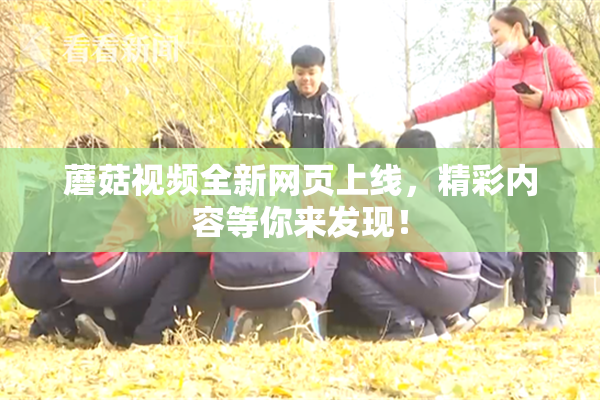 蘑菇视频全新网页上线，精彩内容等你来发现！