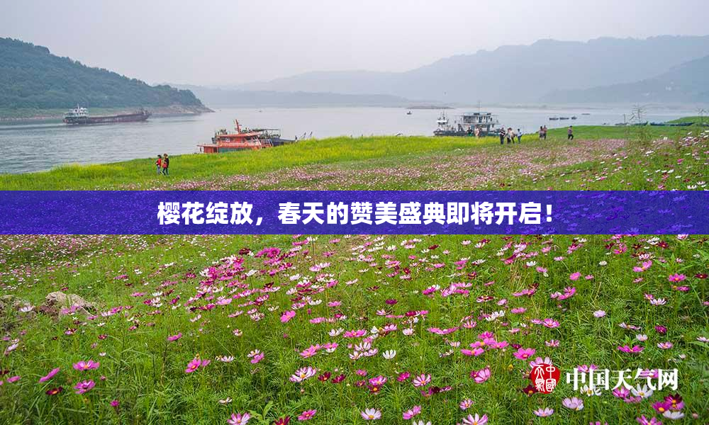樱花绽放，春天的赞美盛典即将开启！