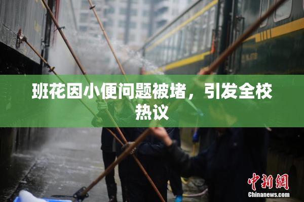 班花因小便问题被堵，引发全校热议