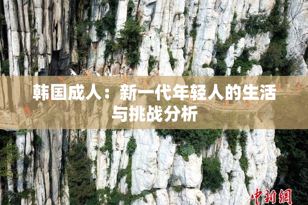 韩国成人：新一代年轻人的生活与挑战分析