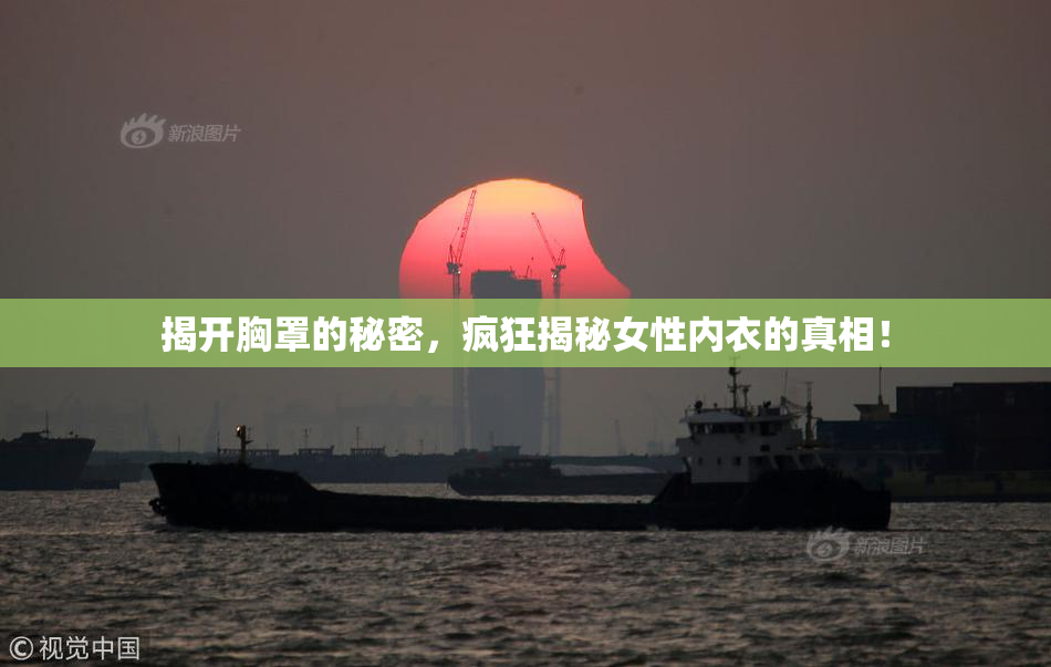 揭开胸罩的秘密，疯狂揭秘女性内衣的真相！