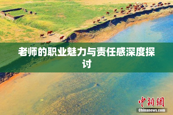 老师的职业魅力与责任感深度探讨