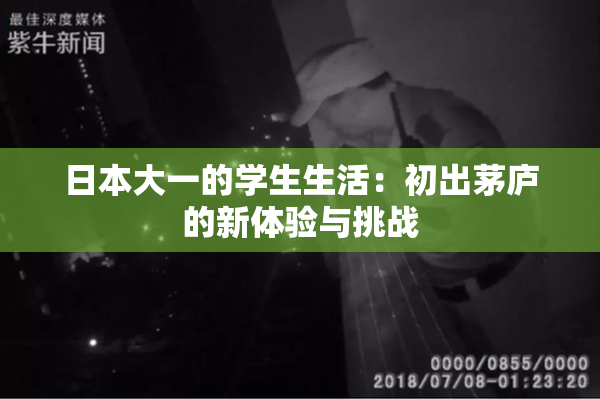日本大一的学生生活：初出茅庐的新体验与挑战