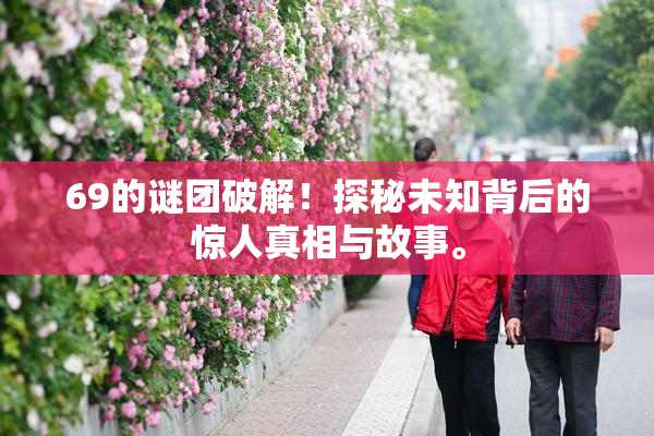 69的谜团破解！探秘未知背后的惊人真相与故事。