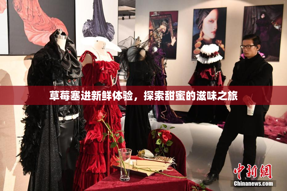 草莓塞进新鲜体验，探索甜蜜的滋味之旅