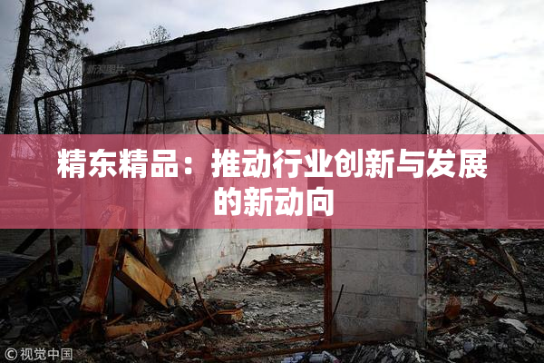 精东精品：推动行业创新与发展的新动向