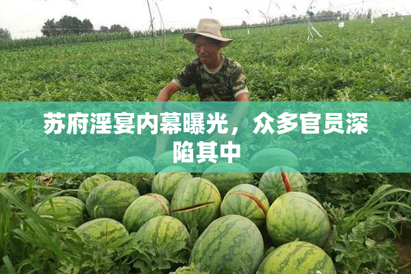 苏府淫宴内幕曝光，众多官员深陷其中
