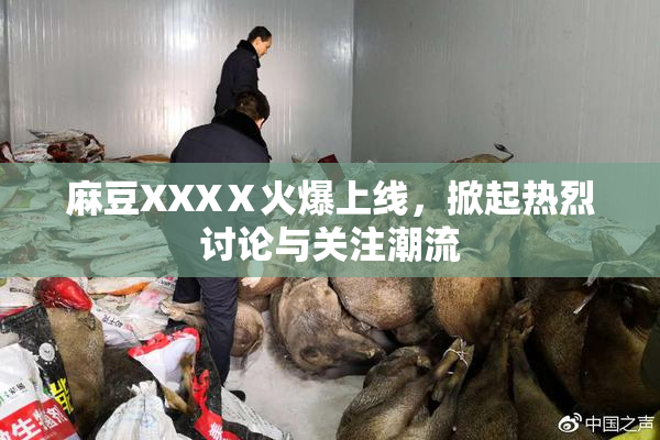 麻豆XXXⅩ火爆上线，掀起热烈讨论与关注潮流