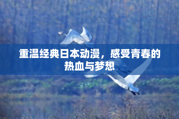 重温经典日本动漫，感受青春的热血与梦想