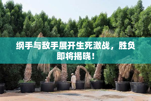 纲手与敌手展开生死激战，胜负即将揭晓！