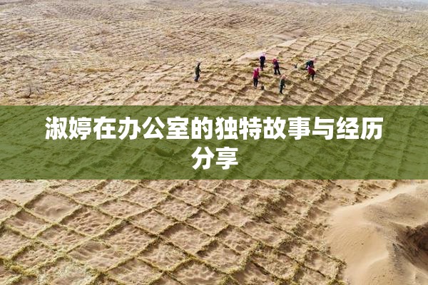 淑婷在办公室的独特故事与经历分享