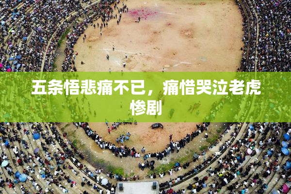 五条悟悲痛不已，痛惜哭泣老虎惨剧