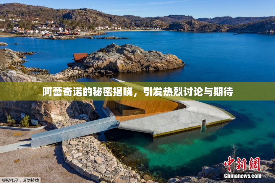 阿蕾奇诺的秘密揭晓，引发热烈讨论与期待