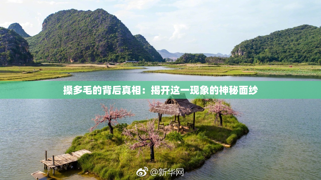 搡多毛的背后真相：揭开这一现象的神秘面纱