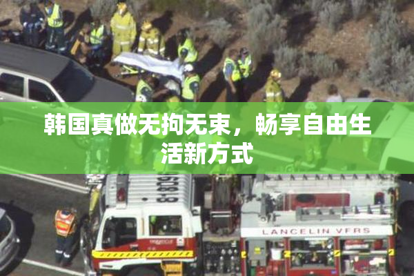 韩国真做无拘无束，畅享自由生活新方式