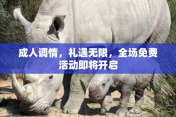 成人调情，礼遇无限，全场免费活动即将开启