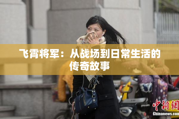 飞霄将军：从战场到日常生活的传奇故事